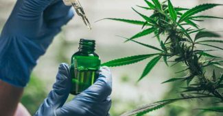 Comment consommer la fleur de CBD ?