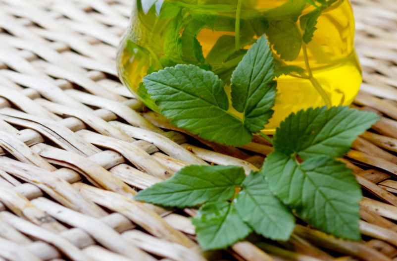 La menthe poivrée apaisante-FCMRR