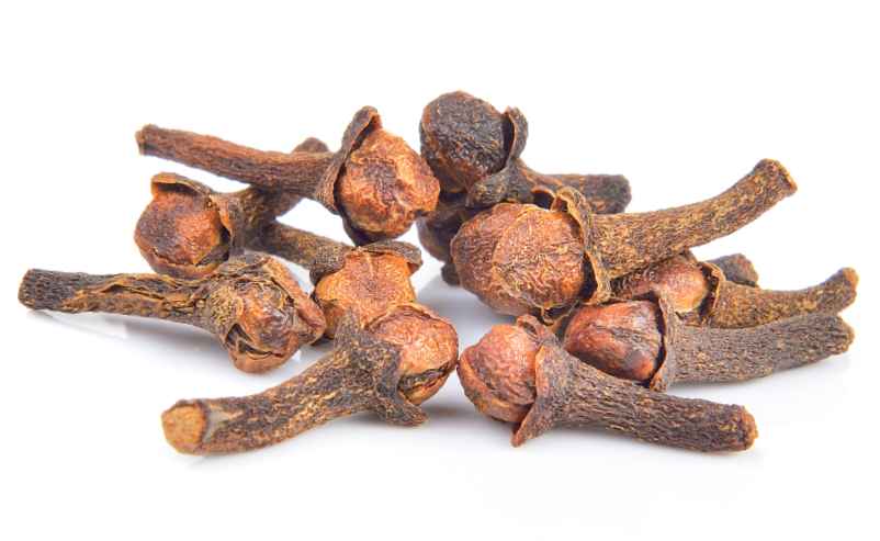 Syzygium aromaticum : une synergie d'actifs puissants-FCMRR