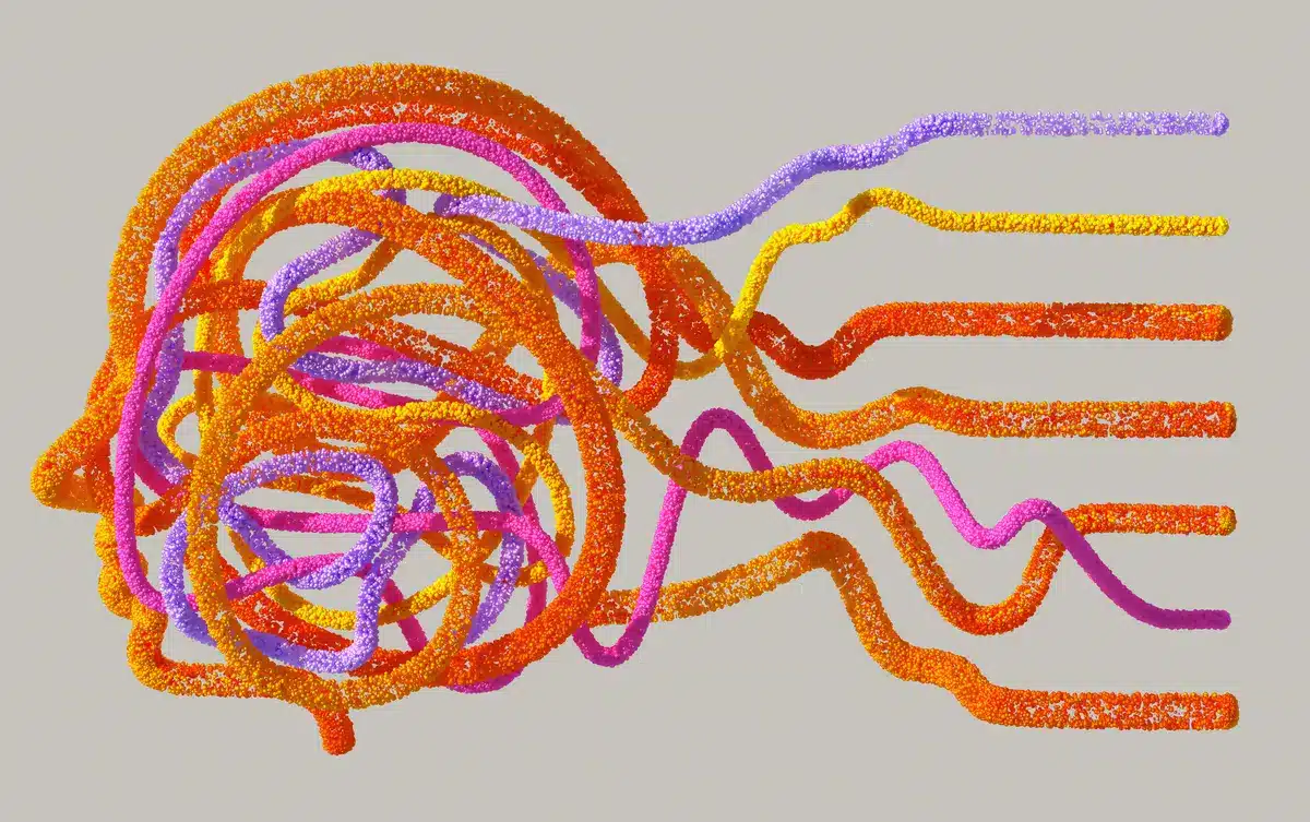 Illustration schématique du cerveau montrant les connexions neuronales liées au traitement auditif