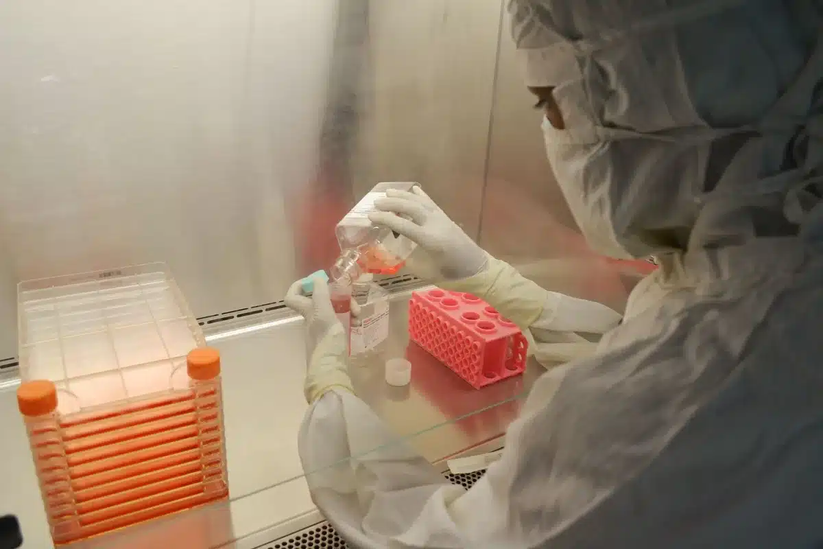 Chercheurs travaillant sur des cultures cellulaires en laboratoire de recherche