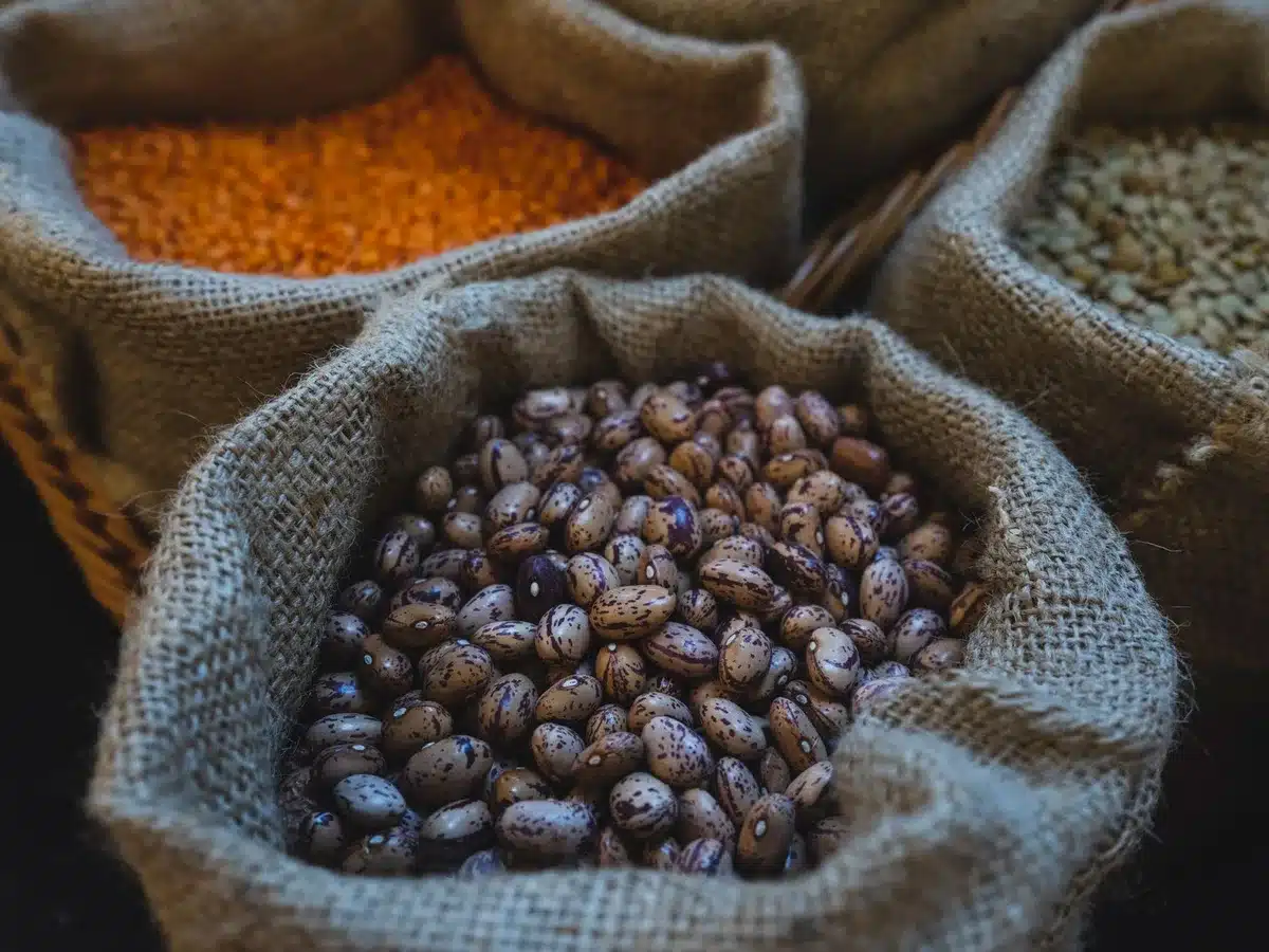 Sélection d'aliments riches en glucides complexes : céréales complètes, légumineuses et légumes frais