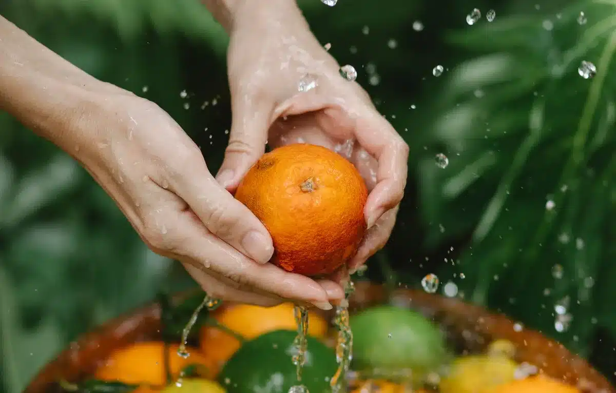 Assortiment de fruits et légumes frais riches en eau : tomates, melons, fraises et concombres
