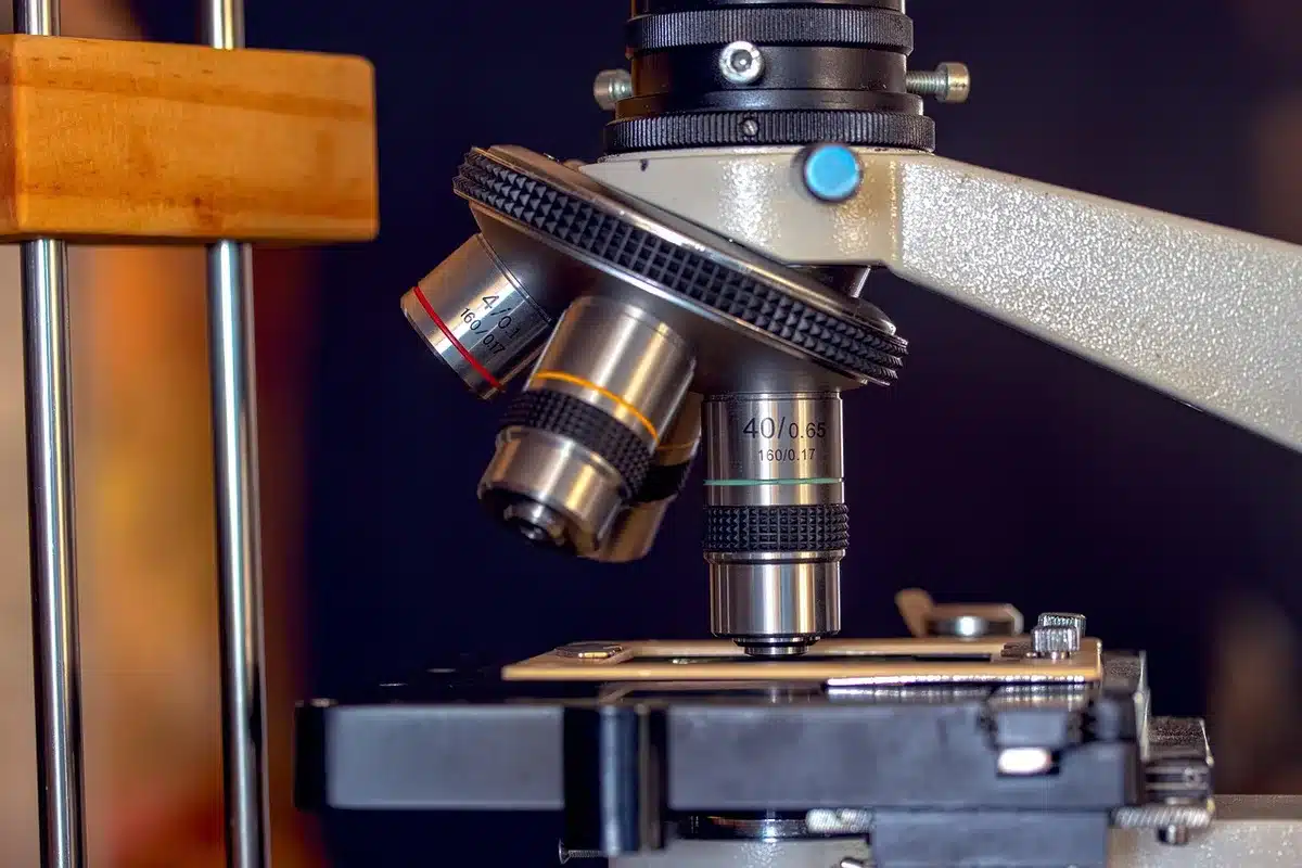 Lames de microscope et instruments en laboratoire illustrant l'étude des cellules dormantes