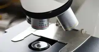 Plan d’un banc de laboratoire en lumière du jour avec lames et microscope flou en arrière-plan