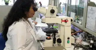 Cage de souris de laboratoire et microscope sur un banc, ambiance clinique