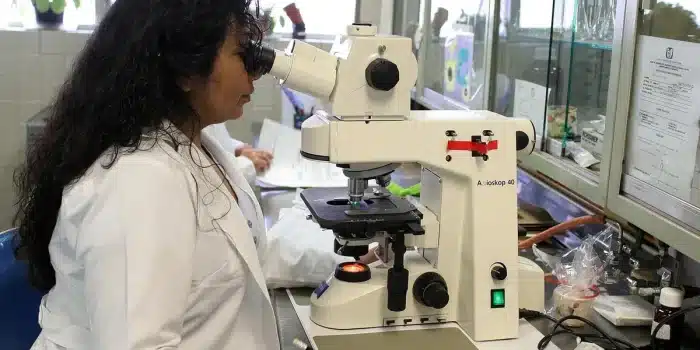 Cage de souris de laboratoire et microscope sur un banc, ambiance clinique