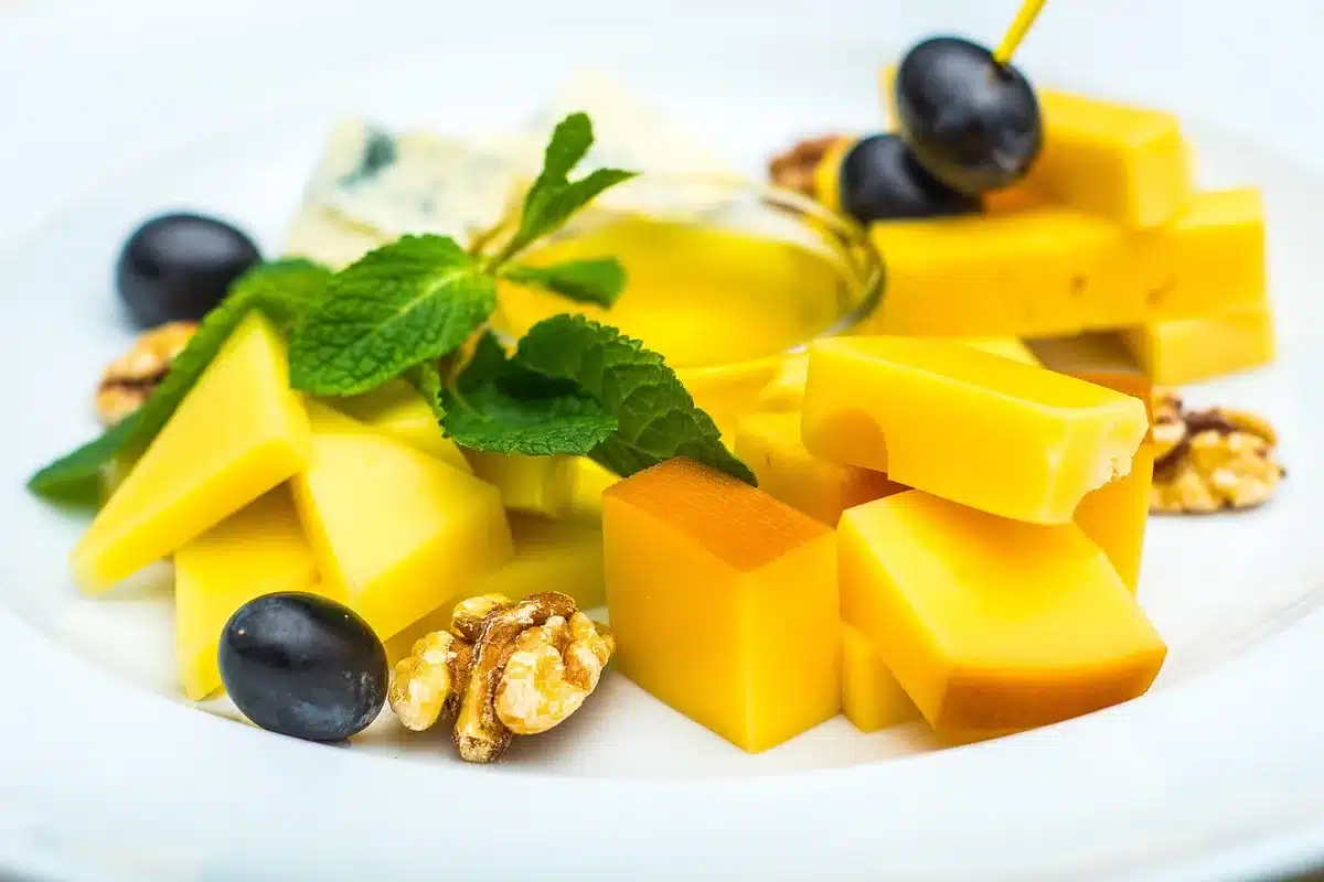 Micrographie ou culture montrant bactéries lactiques associées au fromage