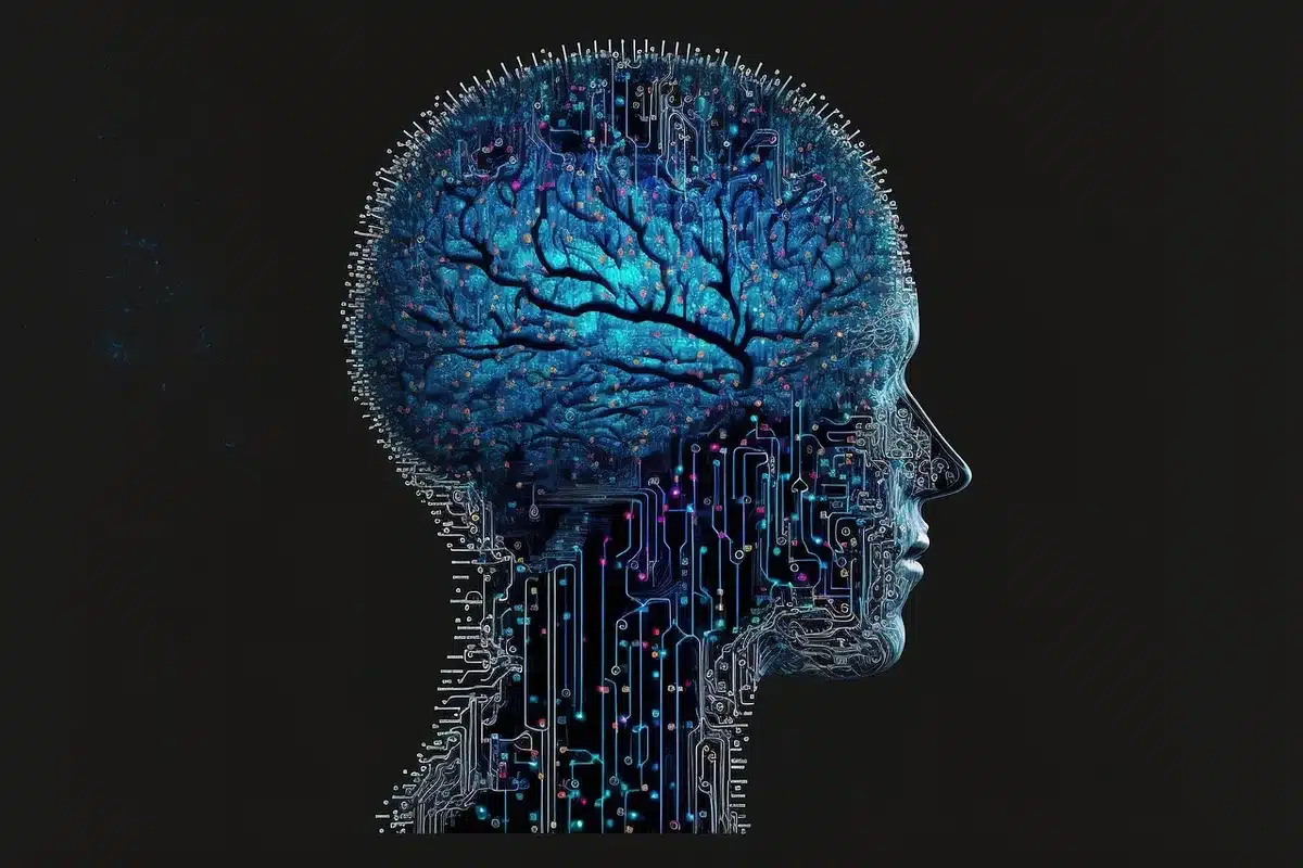 Schéma simplifié du cerveau et des neurotransmetteurs liés à la dopamine