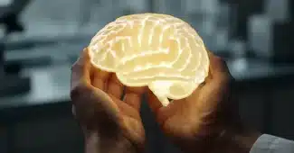 Virus Oropouche : des effets potentiels sur le cerveau fœtal
