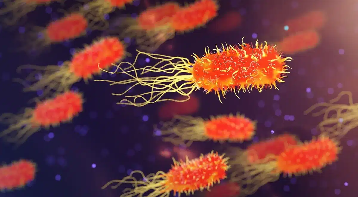 Laboratoire avec microscope et flacons illustrant les analyses sur glandes surrénales fœtales