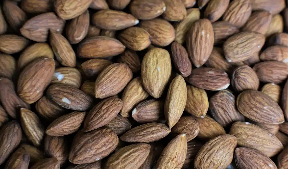 Collation riche en protéines et bouteille d'eau sur une table pour une alternative énergétique